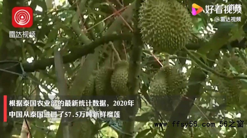 点击打开原图