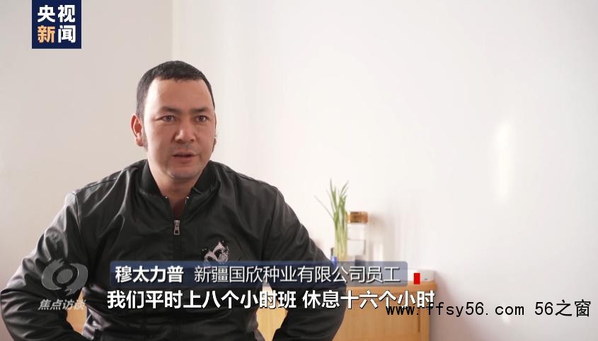 白棉花为何上了&ldquo;黑名单&rdquo;？记者前往新疆进行调查