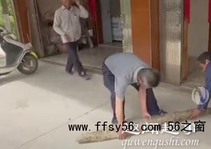 老汉挖菜时感觉挖不到头 花4个小时刨出来一看惊了背后真相实在让人惊愕